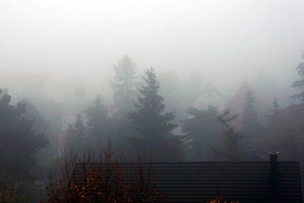 Nebelwand Herbst Lizenzfreie Bilder Kostenloser Support Piqza De