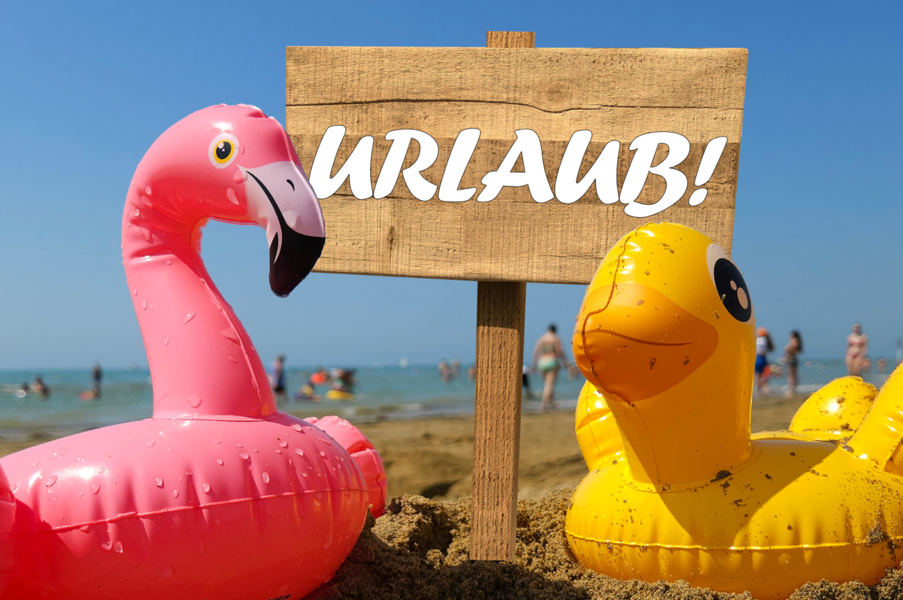 Urlaub Flamingo und Ente am Strand