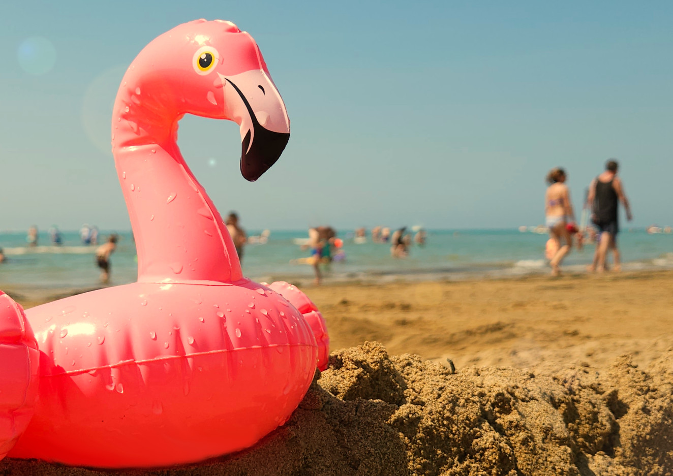 Urlaub Flamingo ohne Holzschild