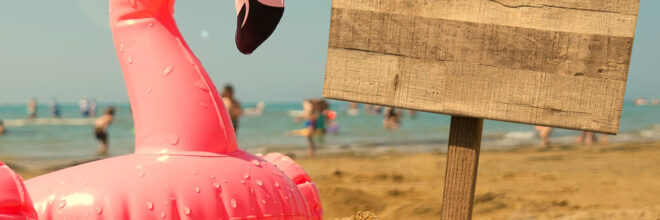 Urlaub Flamingo ohne Text