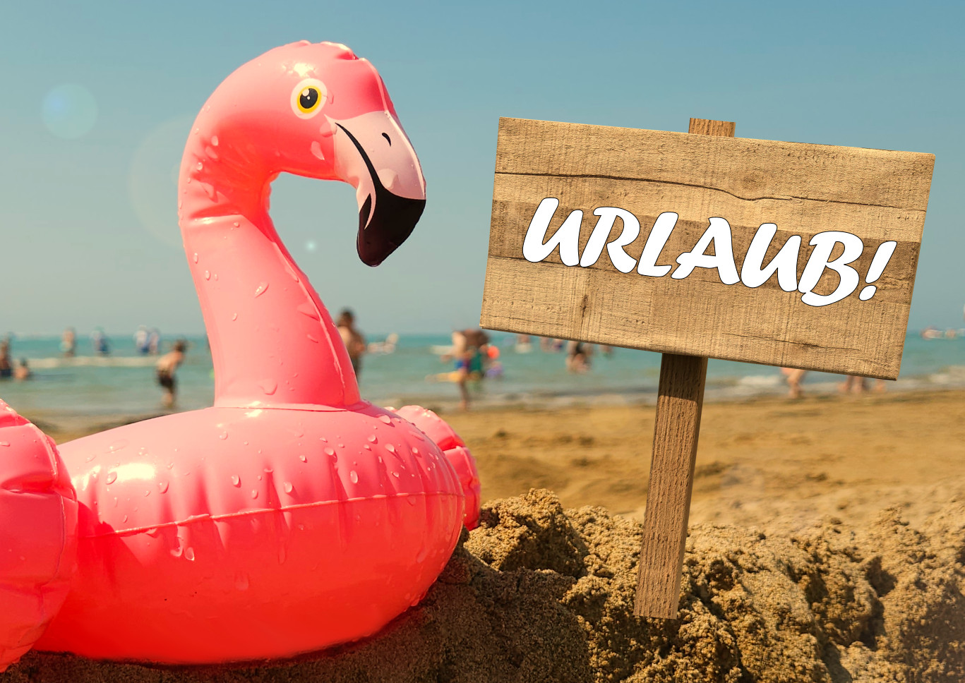 Urlaub Flamingo